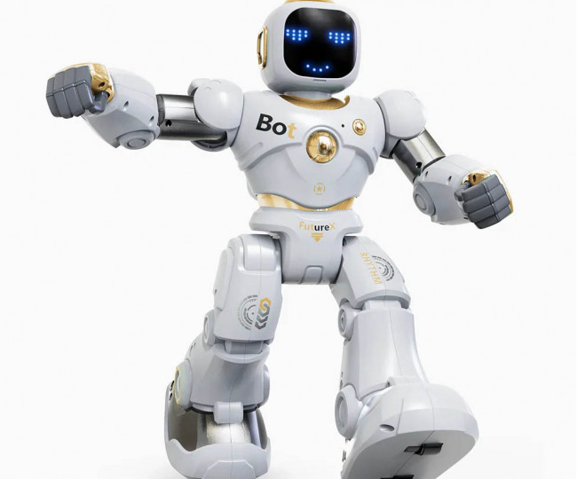 Розумний робот Ruko 1088 Large Color: Pink, Blue, Gold, Green